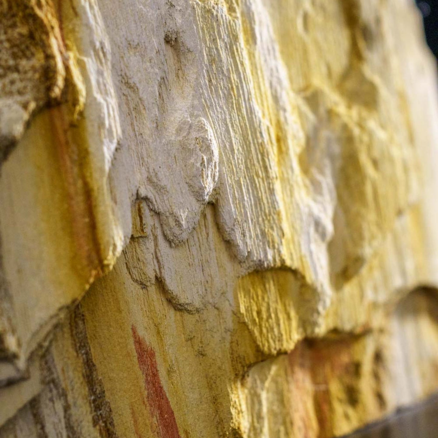 LAVABO STONE TREE da appoggio - CIPÍ lavandino ricavato da una sezione di albero pietrificato