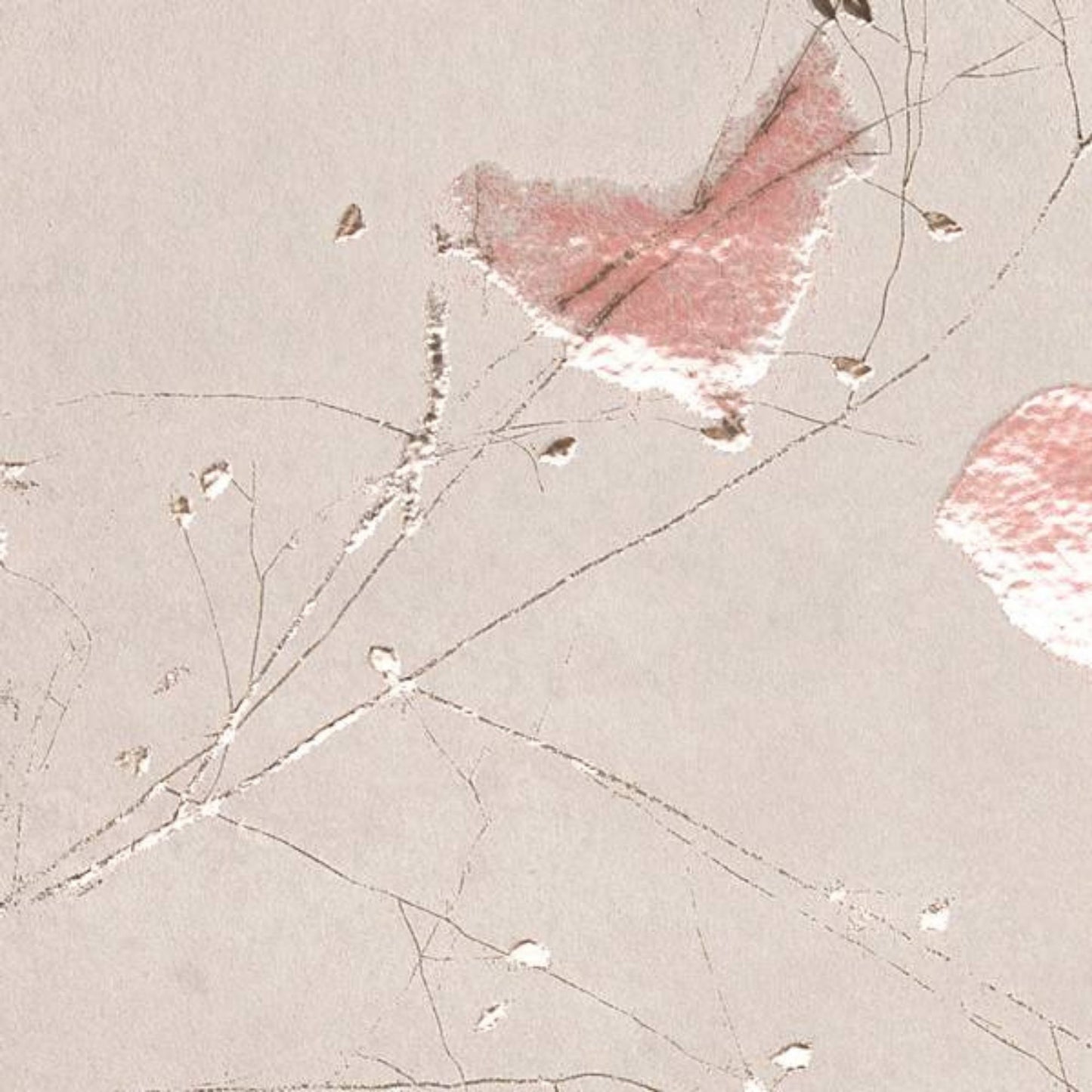 # YLICO - FAP CERAMICHE il cemento elegante per pareti e pavimenti moderni