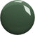 Alga