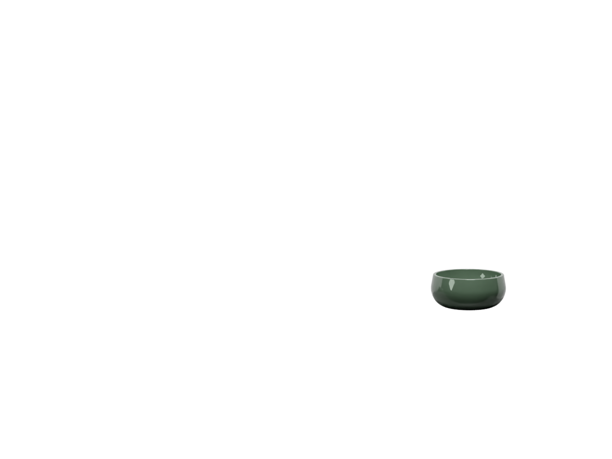 Alga