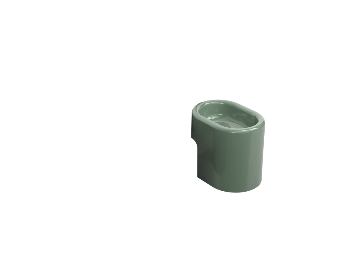 Alga