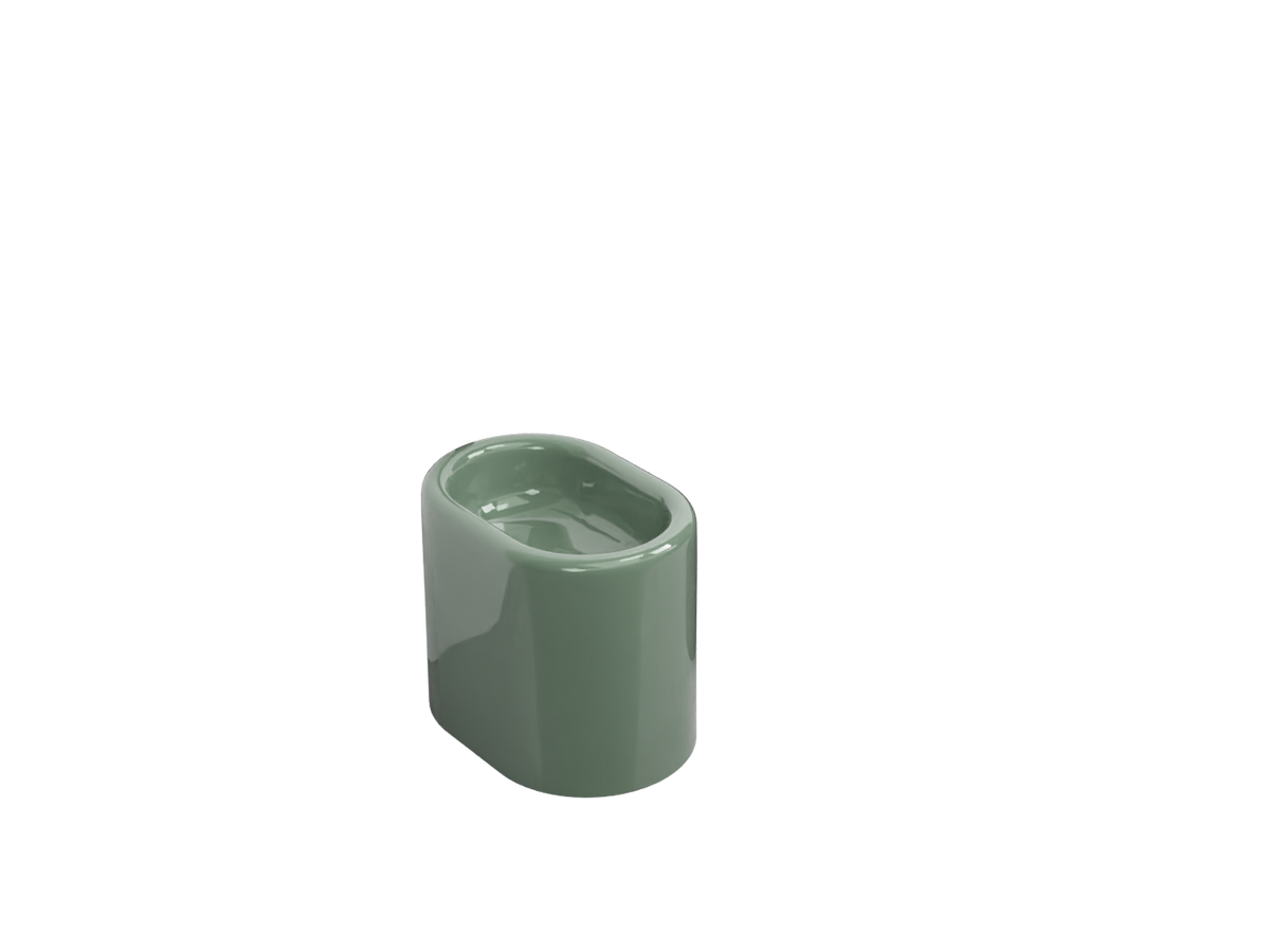 Alga