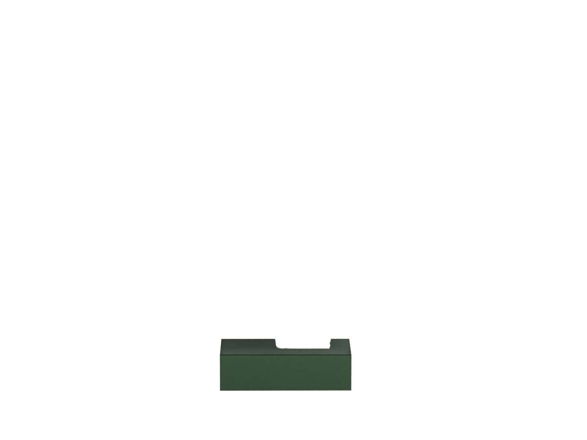 Alga