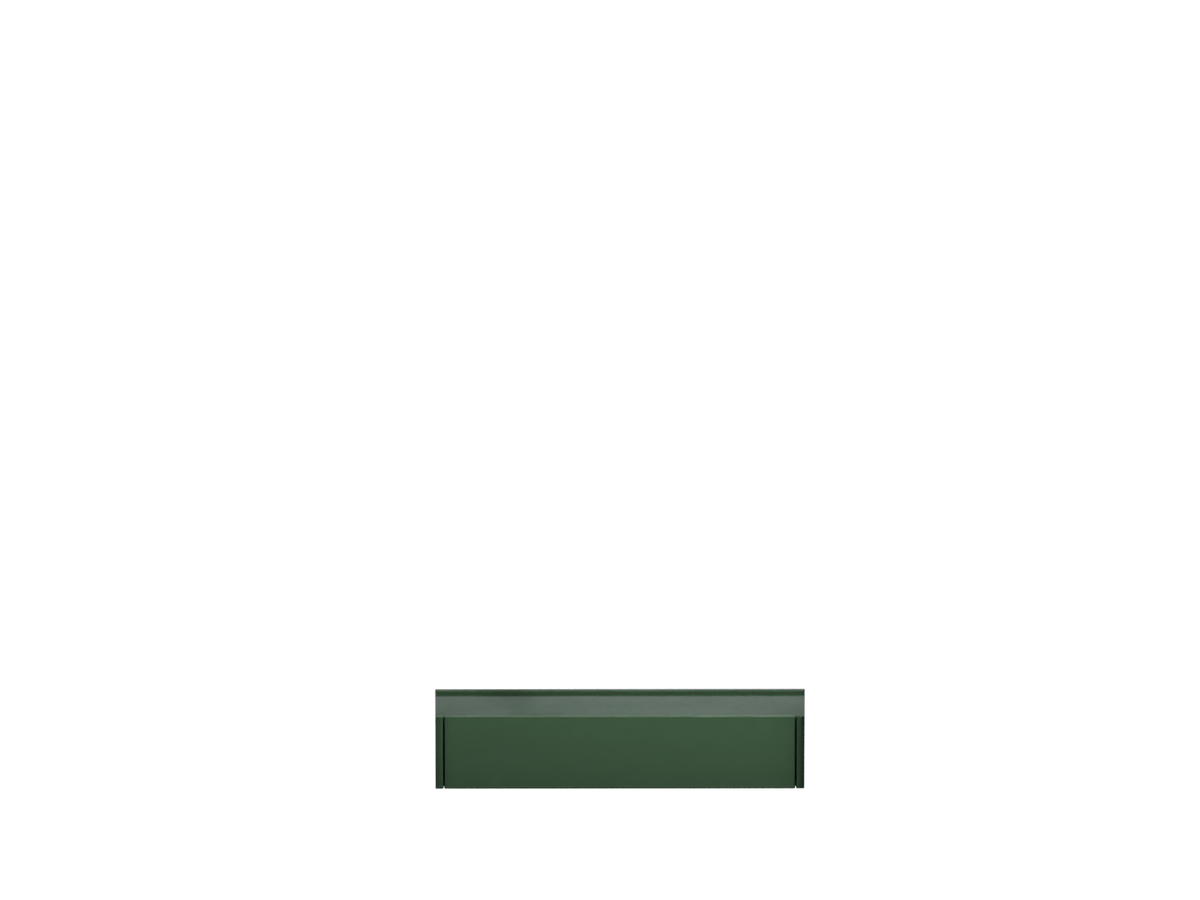 Alga