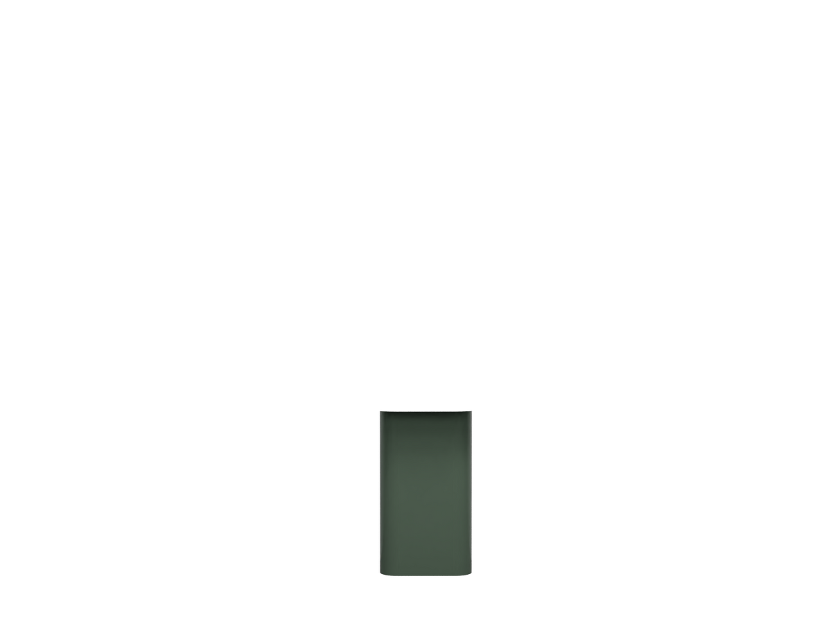 Alga