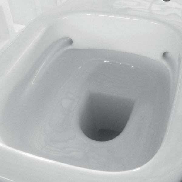 DOMUSFALERII F50 SPECIAL VASO A TERRA senza brida wc water sanitari in ceramica