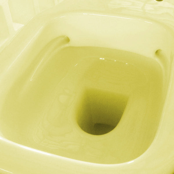 DOMUSFALERII F50 SPECIAL VASO A TERRA LEMON VERBENA senza brida sanitari in ceramica