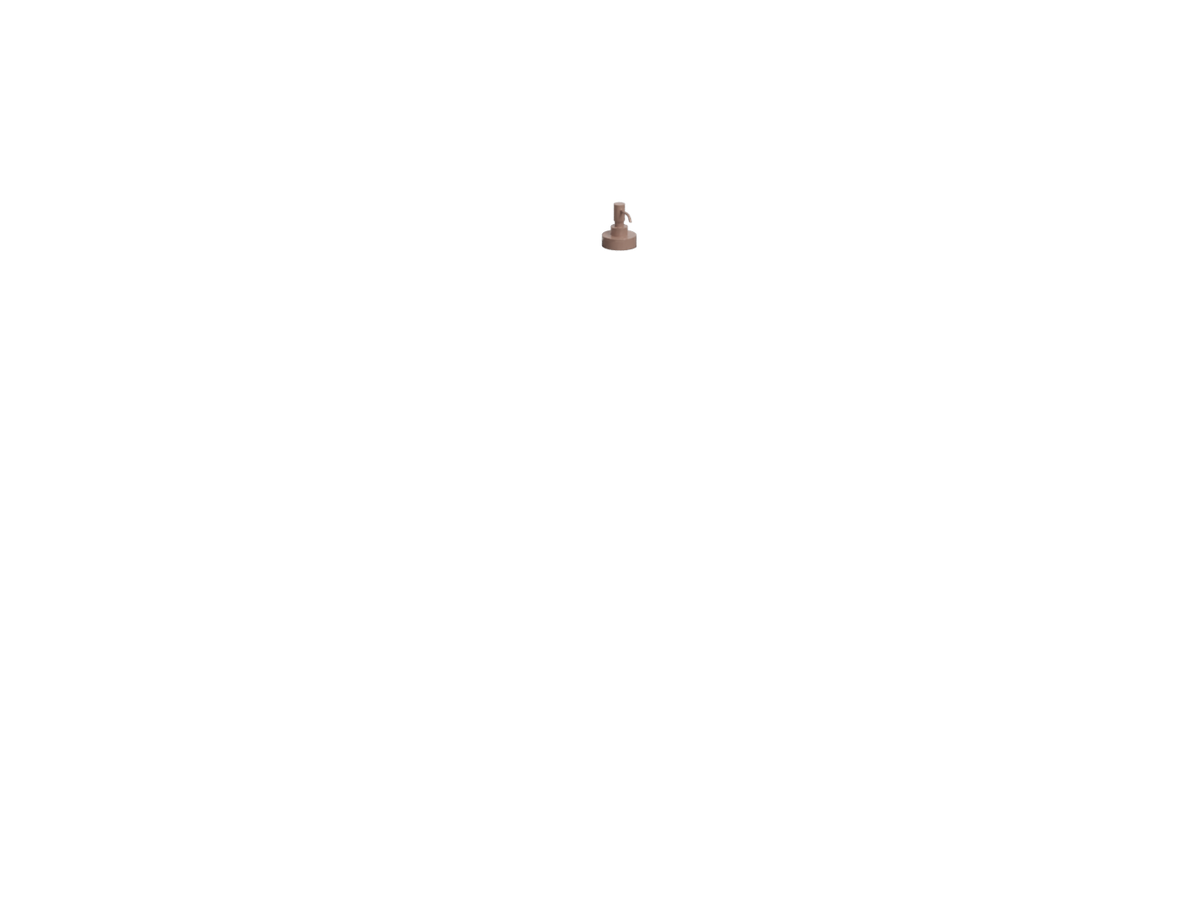 Ninfea