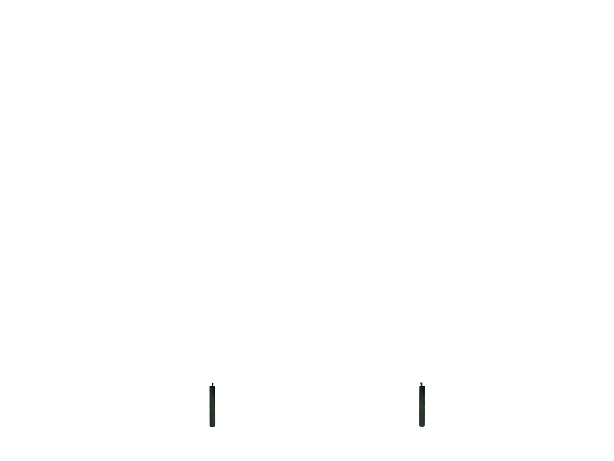 Alga