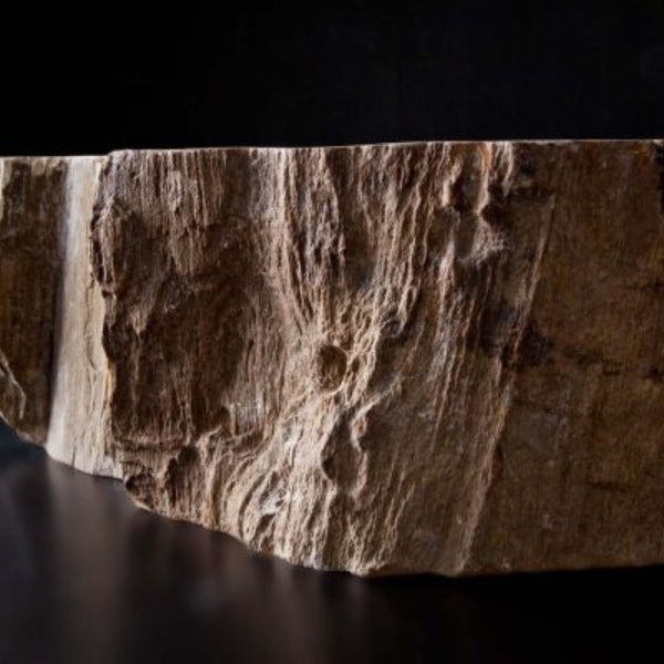 LAVABO STONE TREE da appoggio - CIPÍ lavandino ricavato da una sezione di albero pietrificato
