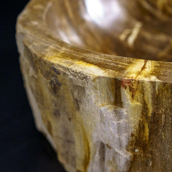 LAVABO STONE TREE da appoggio - CIPÍ lavandino ricavato da una sezione di albero pietrificato
