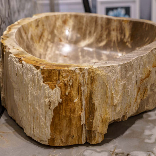 LAVABO STONE TREE da appoggio - CIPÍ lavandino ricavato da una sezione di albero pietrificato