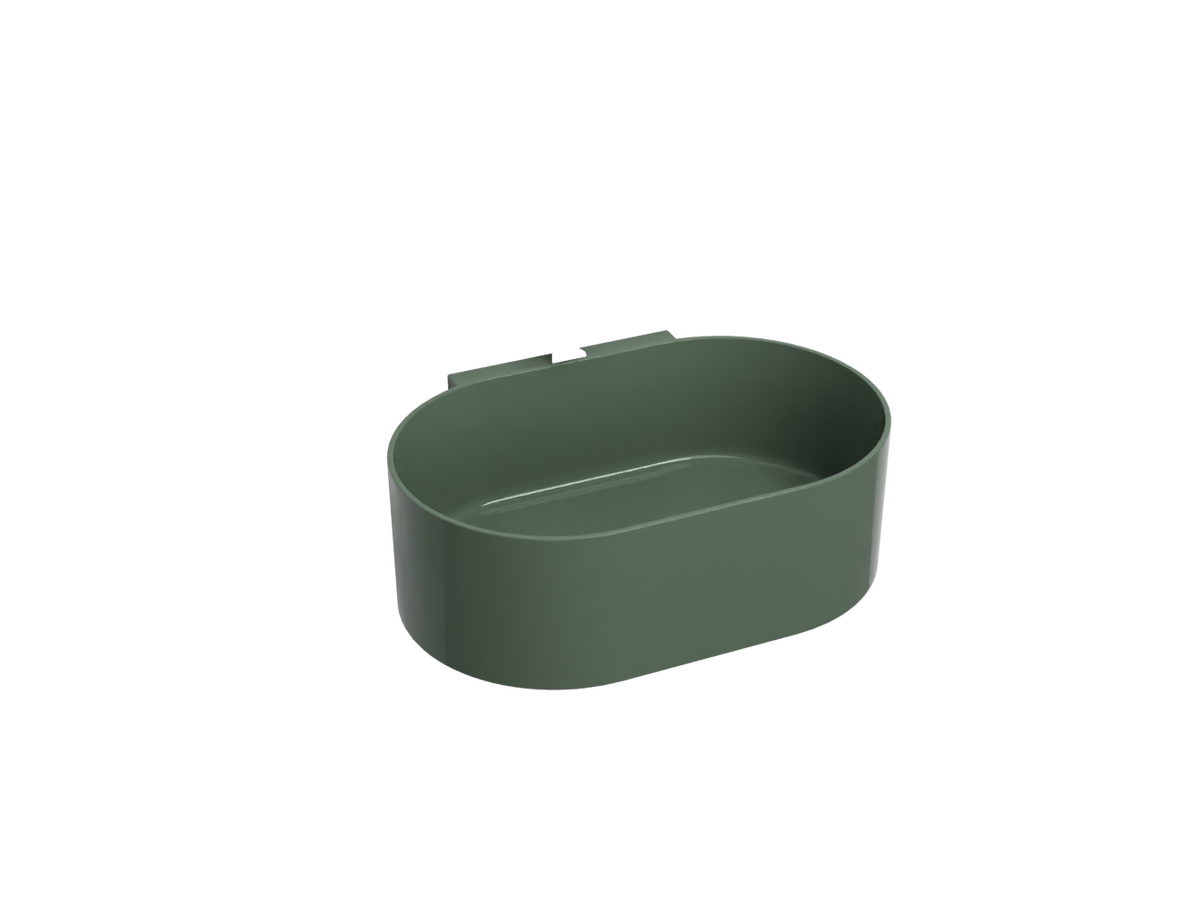Alga