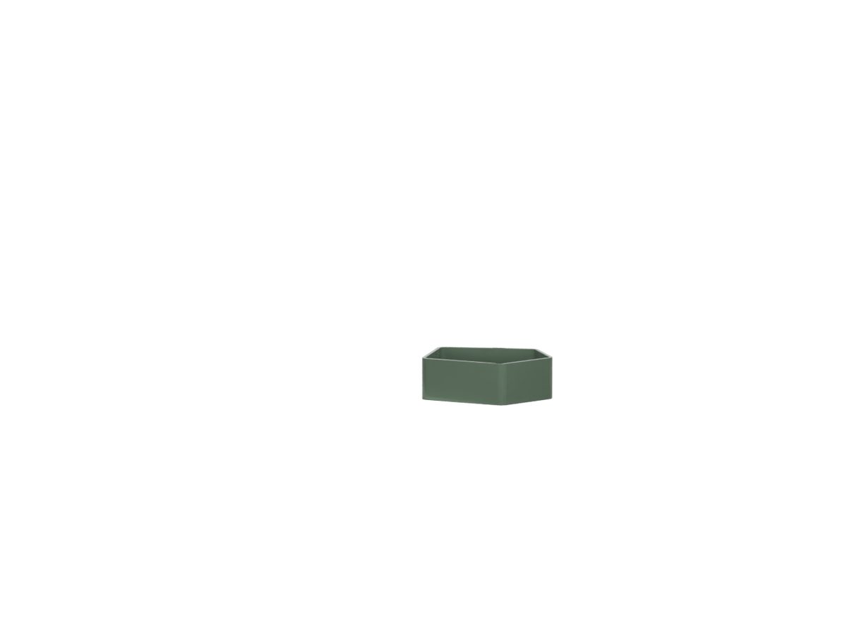 Alga