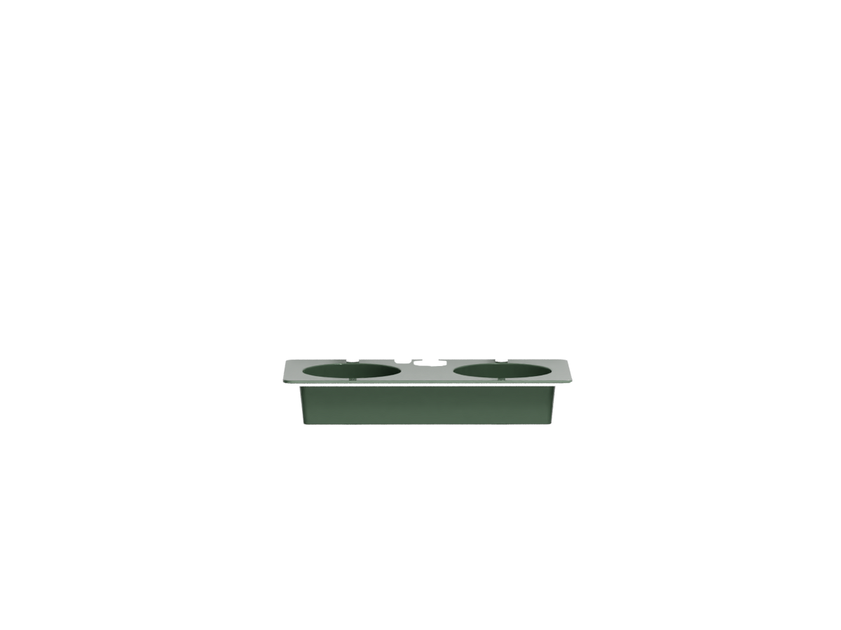 Alga