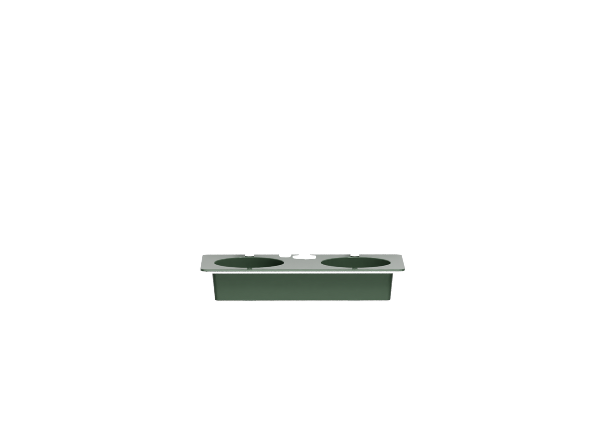 Alga