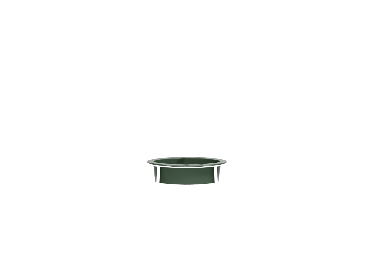 Alga