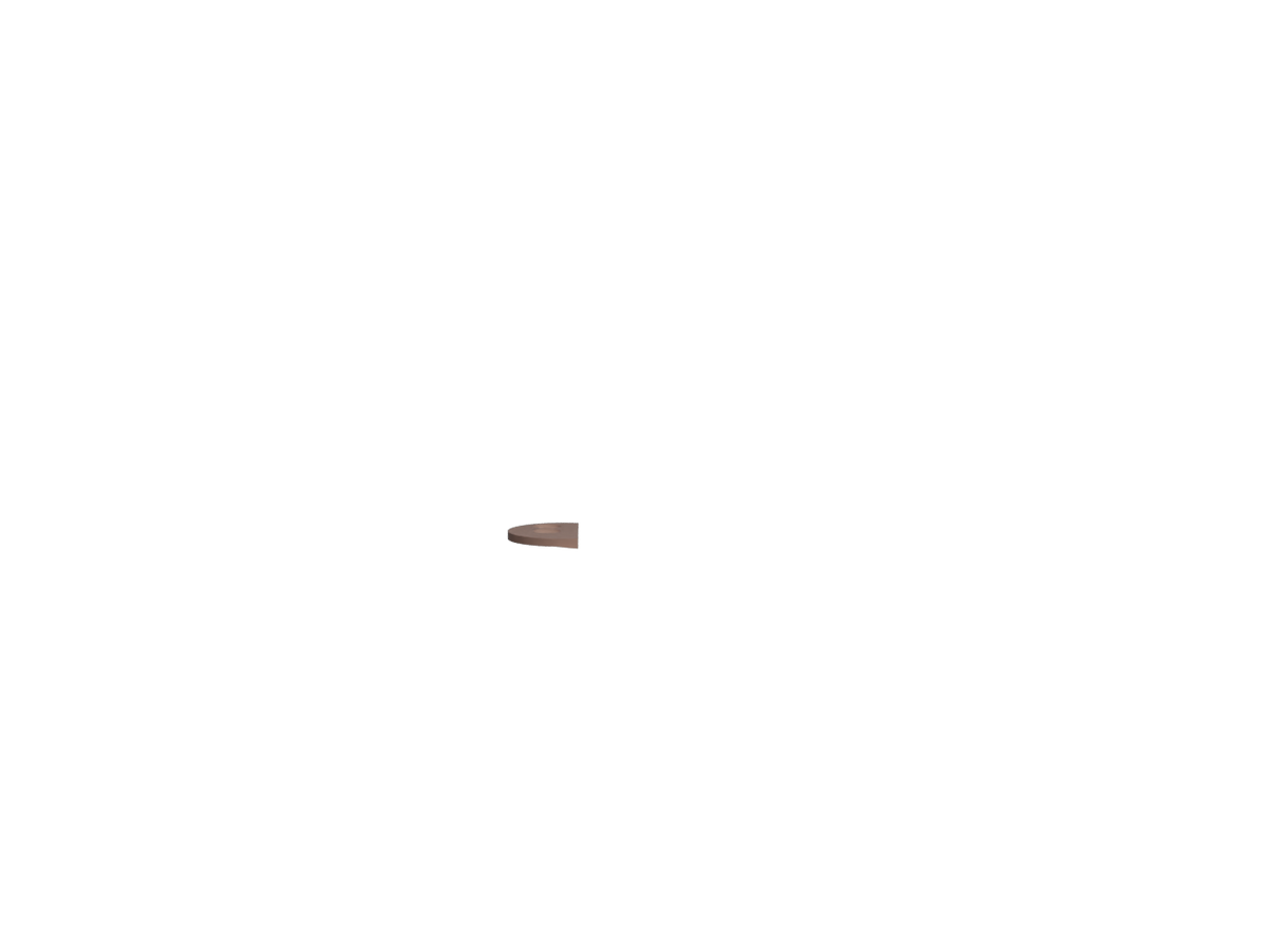 Ninfea