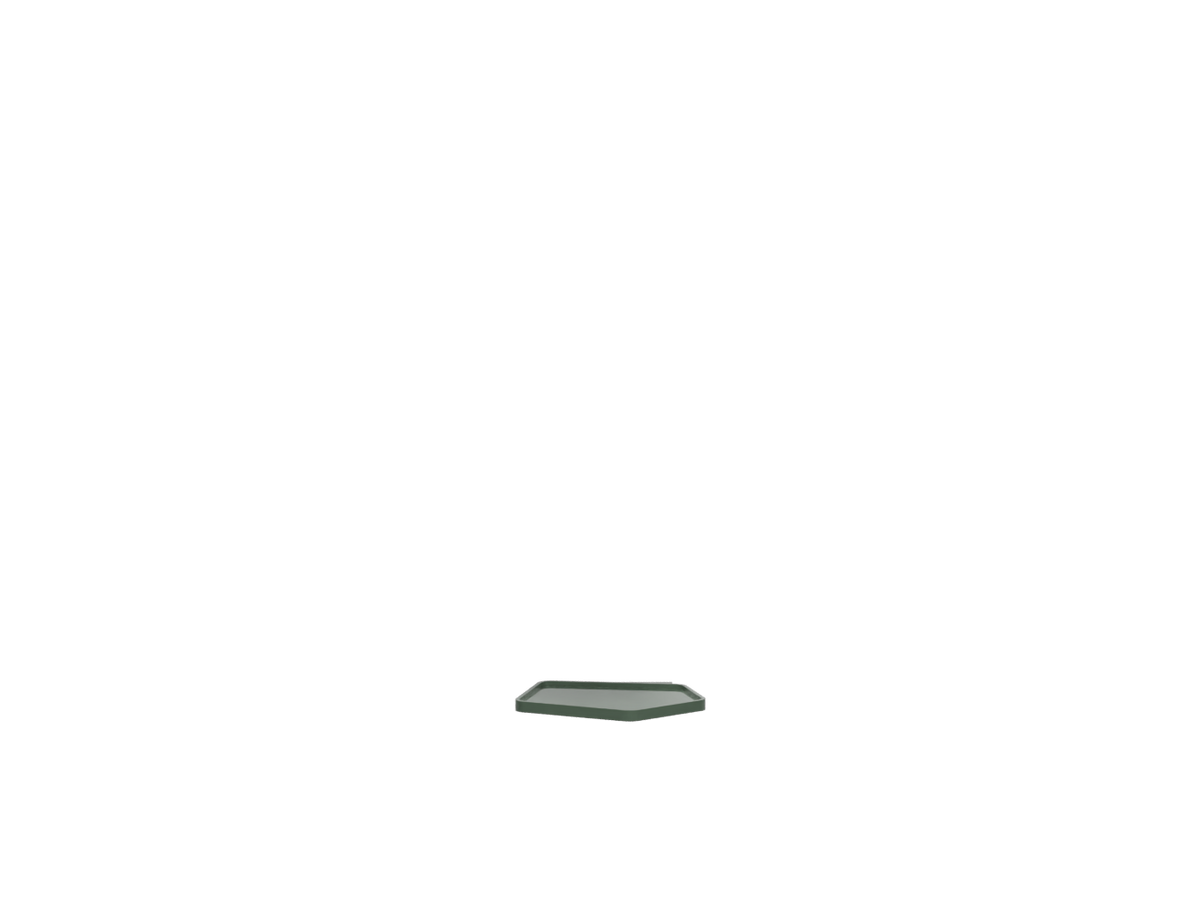 Alga