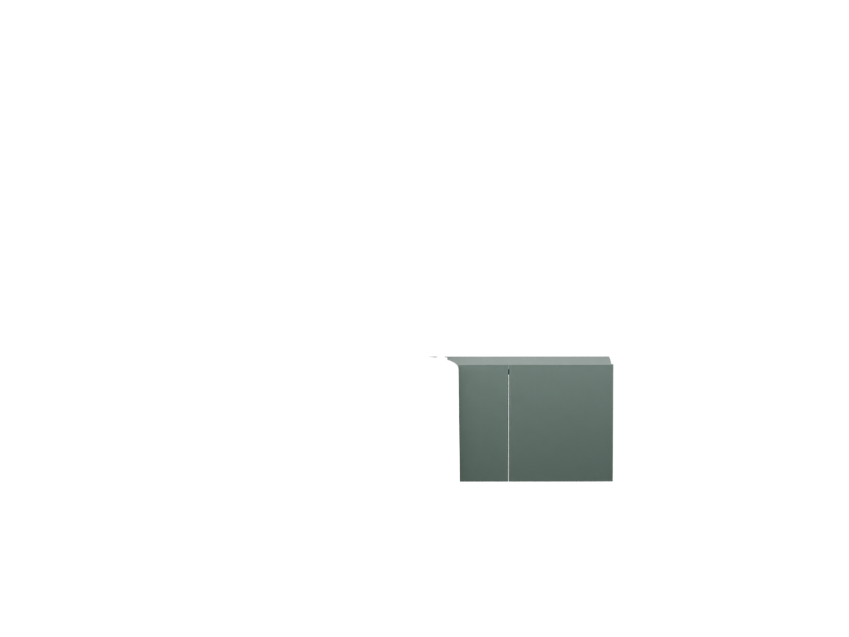 Muschio