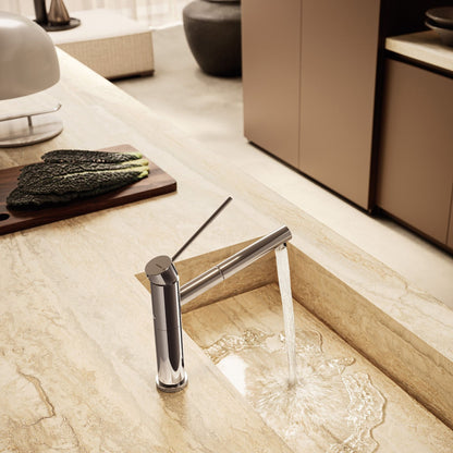 Newform X-Trend Miscelatore Monocomando Lavello con Bocca Girevole e Terminale Orientabile