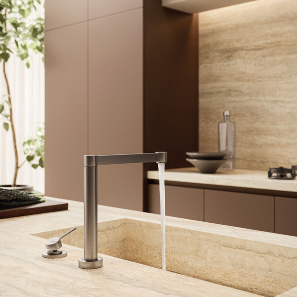 Newform X-Trend Miscelatore Monocomando Lavello con Bocca Girevole e Terminale Orientabile