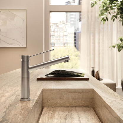 Newform X-Trend Miscelatore Monocomando Lavello con Bocca Girevole e Terminale Orientabile