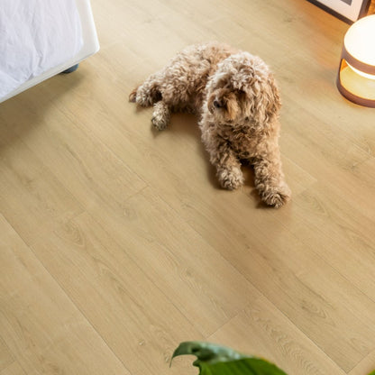 Pavimento in Laminato CAPTURE ROVERE SPAZZOLATO NATURALE QUICK-STEP progettato per abitazioni in cui il pavimento deve sostenere un utilizzo continuo