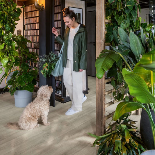 Pavimento in Laminato CAPTURE ROVERE SPAZZOLATO GRIGIO QUICK-STEP esigenze contemporanee, dove si ricercano tonalità neutre e superfici leggibili