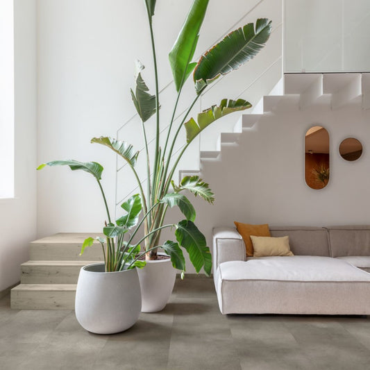 Pavimento in PVC ILLUME CEMENTO NUVOLATO QUICK-STEP effetto cemento nuvolato impermeabile, materassino integrato e garanzia residenziale a vita