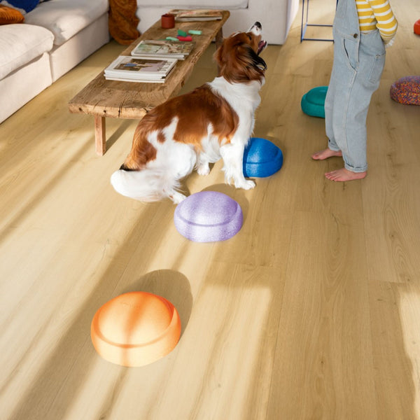 Pavimento in PVC BLOOM ROVERE MIELE SPAZZOLATO QUICK-STEP effetto legno naturale doga media con Uniclic