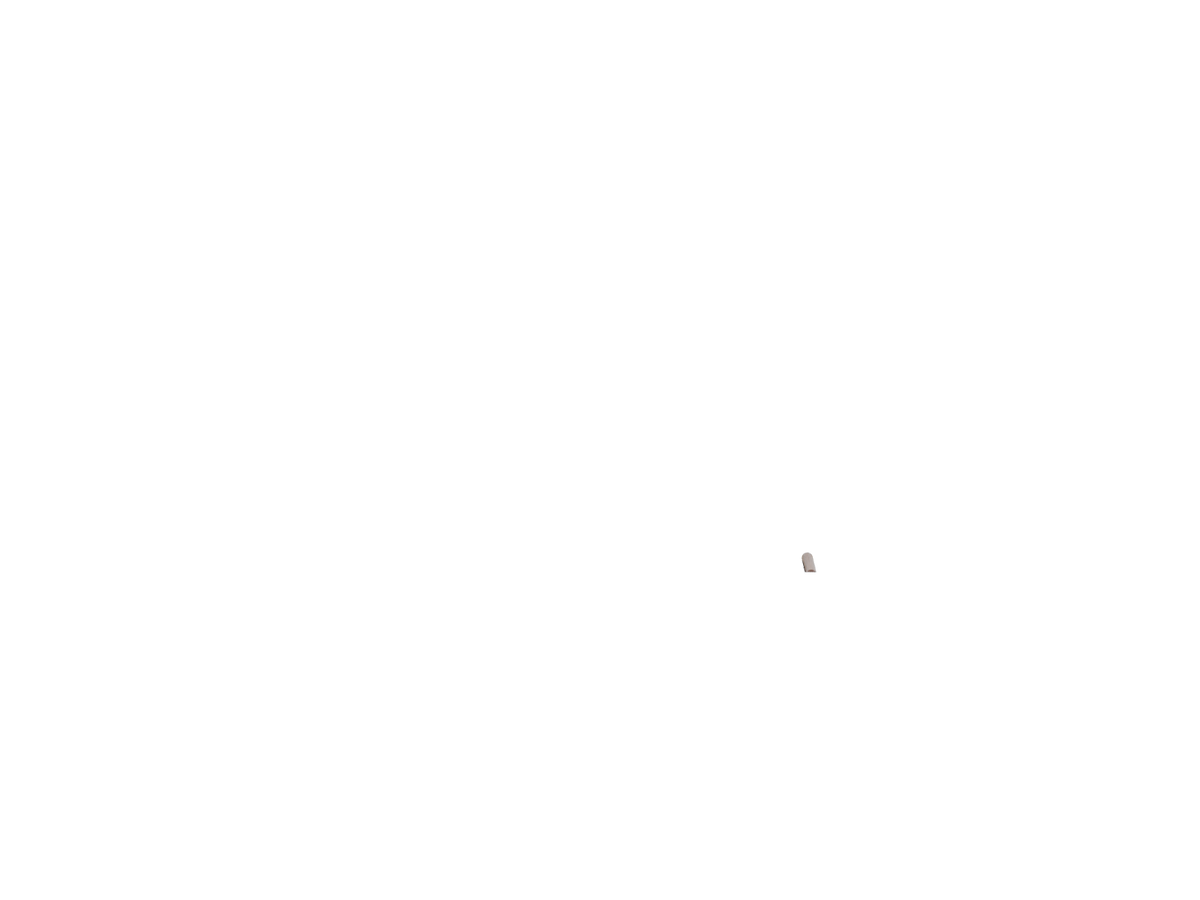 Ninfea