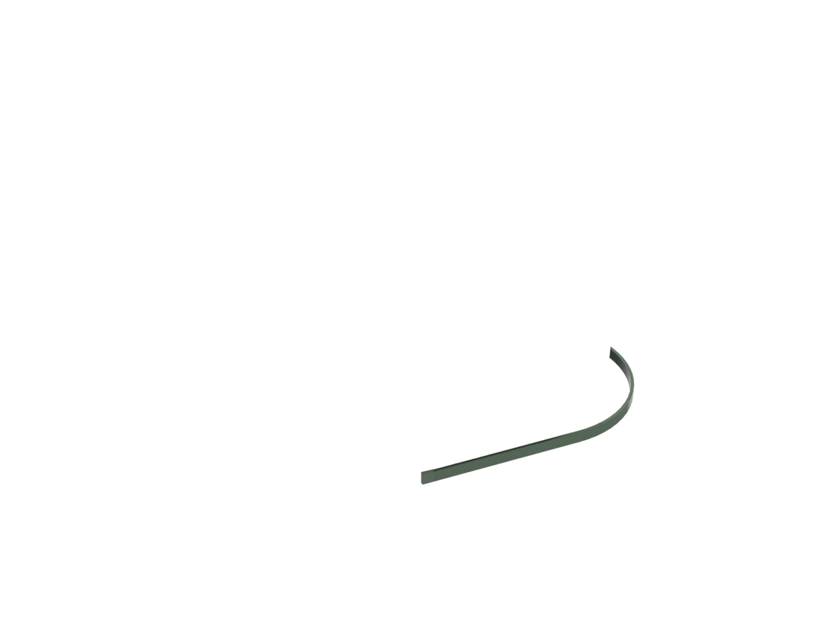 Alga