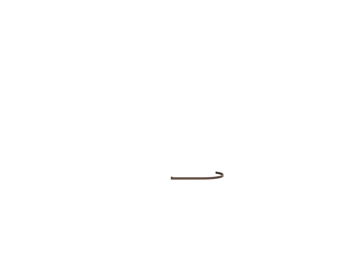 Ninfea