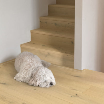 Pavimento in PARQUET CALA ROVERE BIANCO PERLA EXTRA OPACO QUICK-STEP effetto legno riduce la visibilità di impronte e micrograffi, garantendo un aspetto uniforme nel tempo