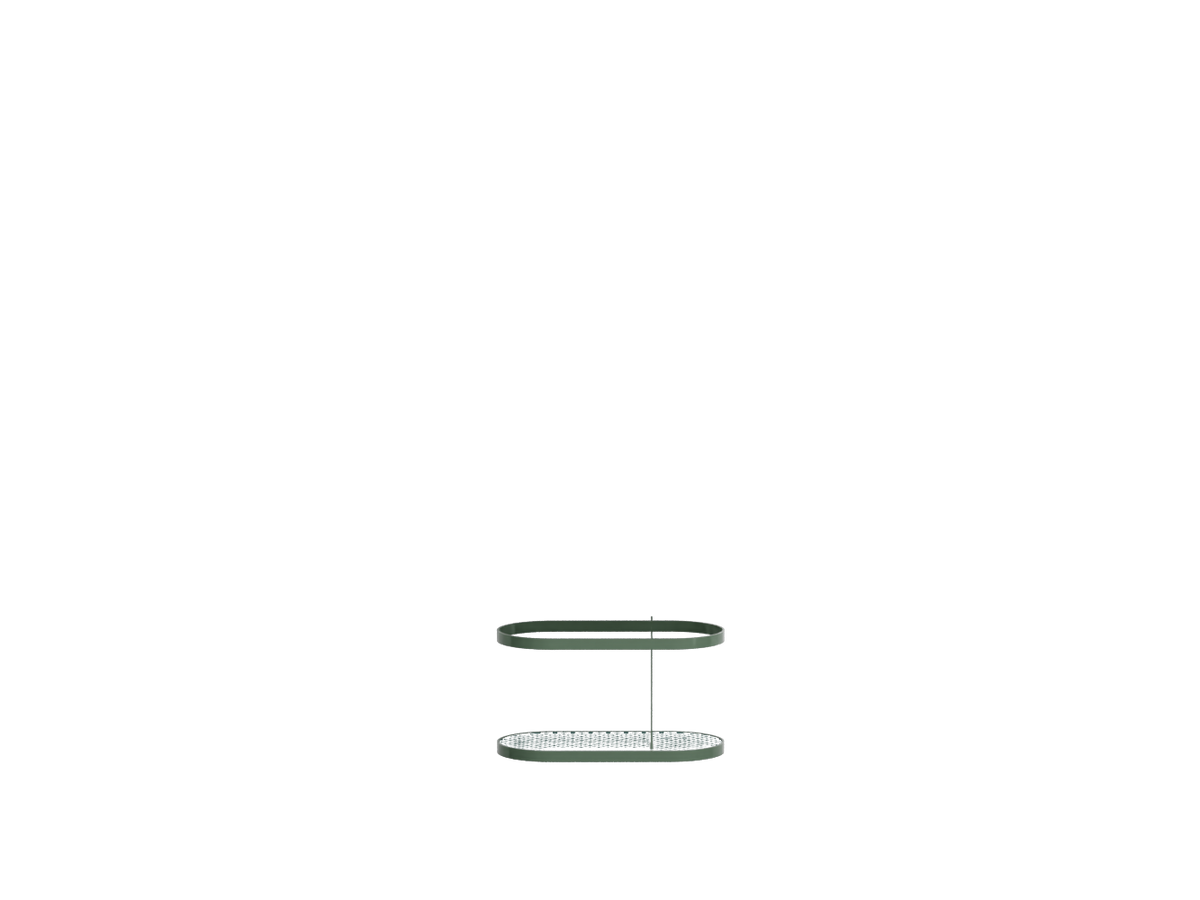 Alga