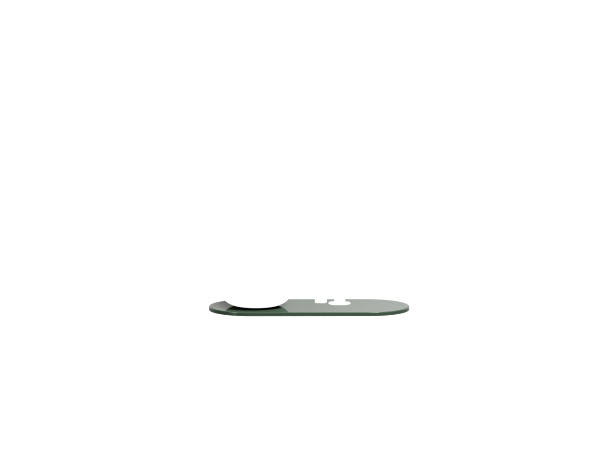 Alga