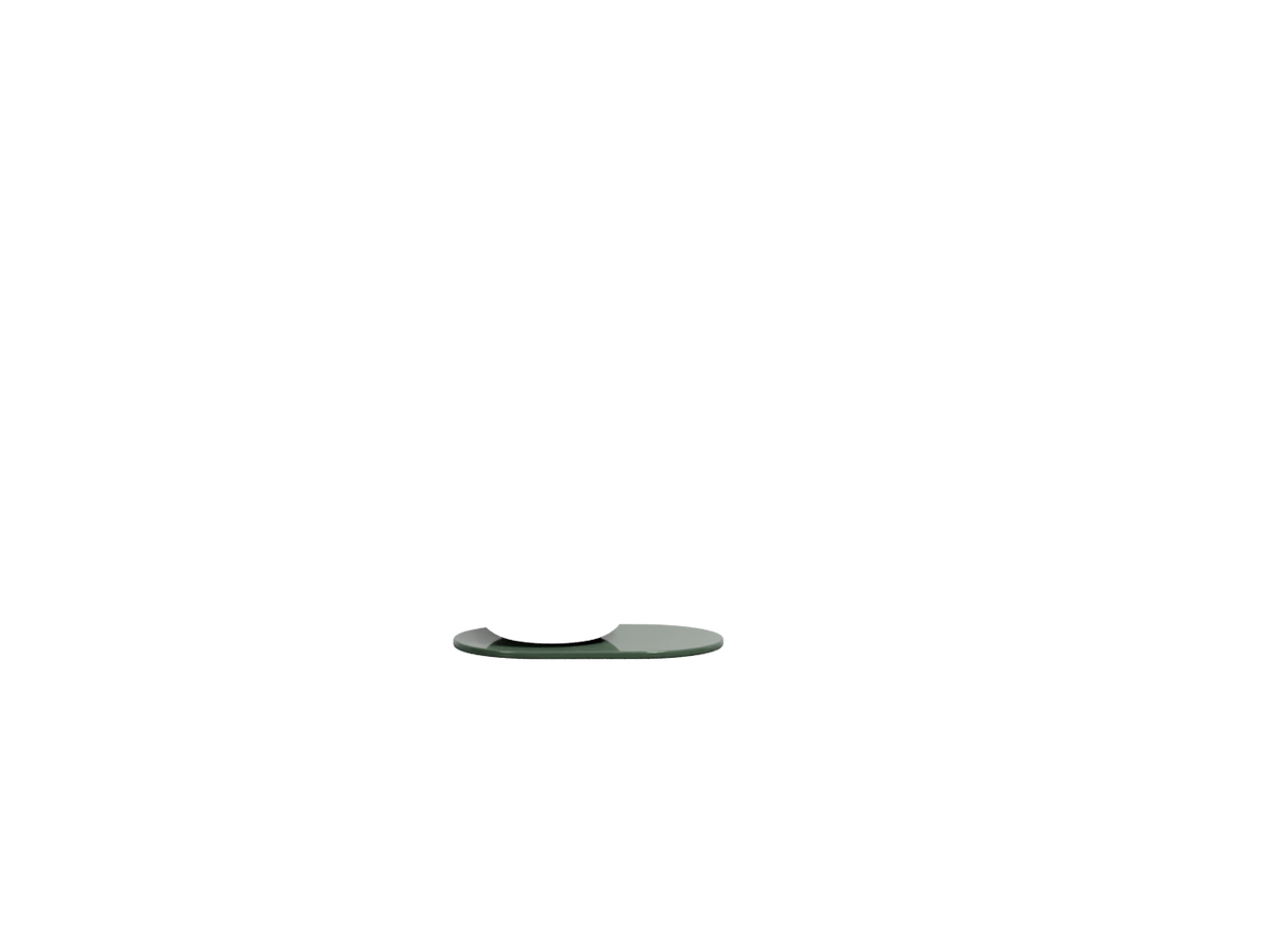 Alga