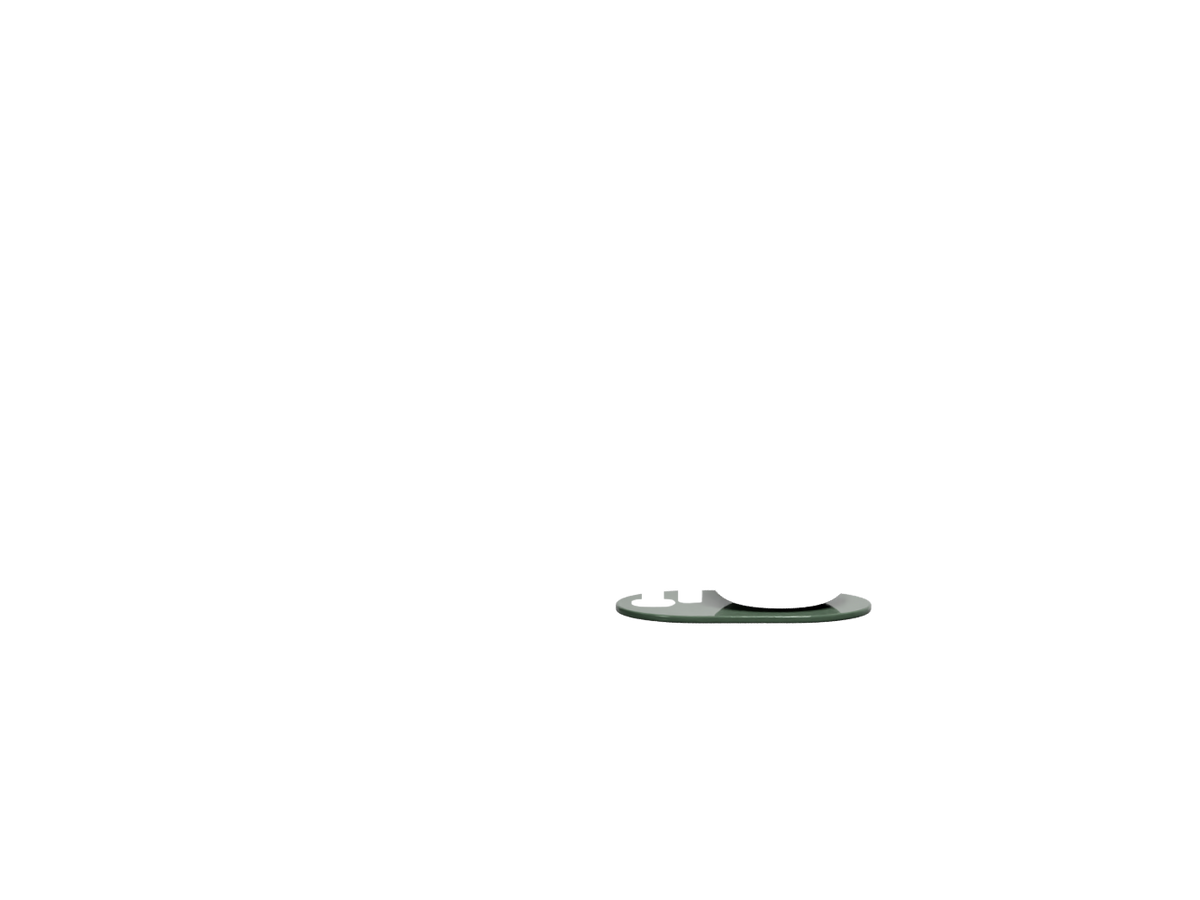 Alga