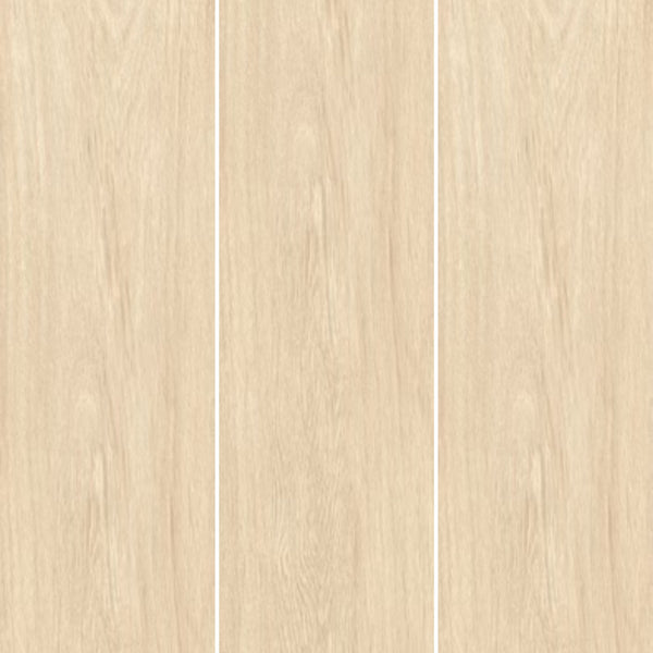EDEN SAVOIA ITALIA Piastrelle in gres porcellanato effetto legno 20×120 cm per pavimenti e rivestimenti di design