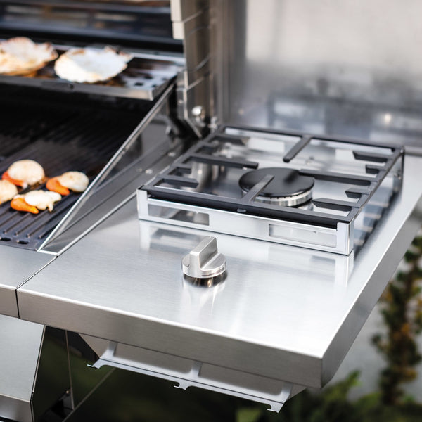 Barbecue a gas con carrello Alain Palazzetti in acciaio inox