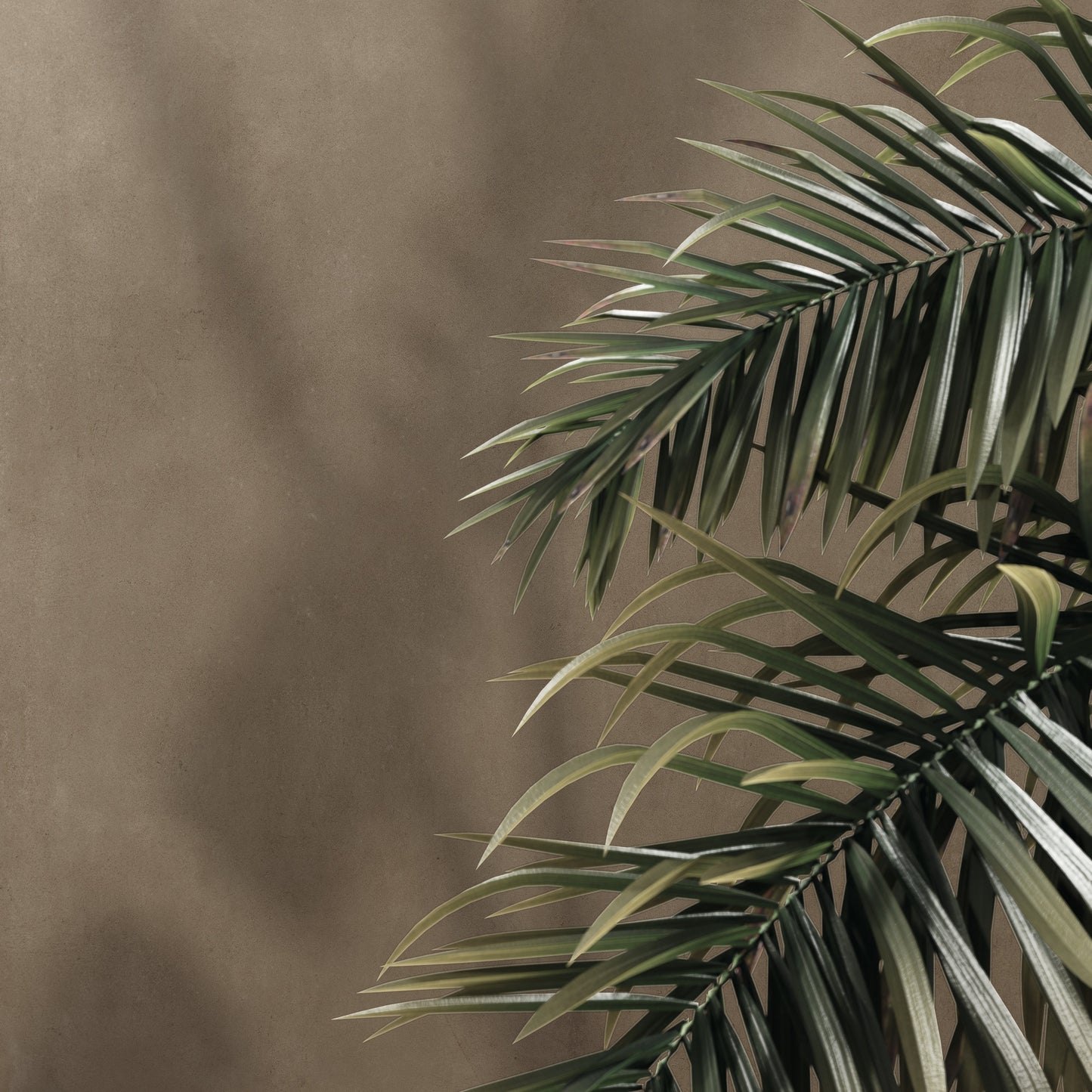 HOMESCAPE FONDOVALLE piastrelle in ceramica effetto cemento per pavimenti e rivestimenti