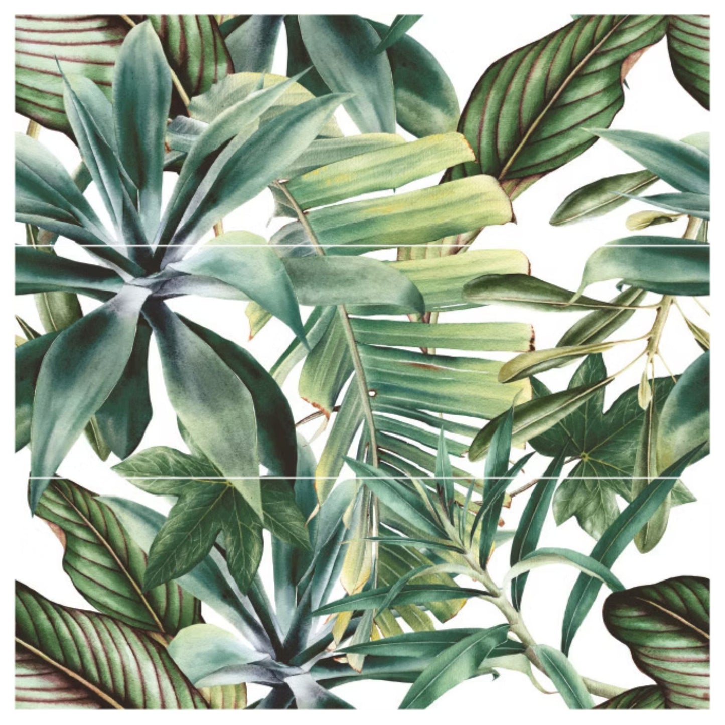 BOTANICAL SAVOIA ITALIA rivestimenti in bicottura in pasta bianca per bagno e living ispirati alla natura